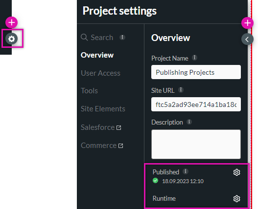 project settings overview tab containing published and run time 