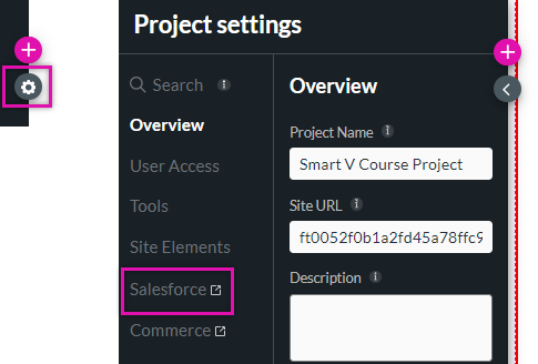 project settings > salesforce tab 