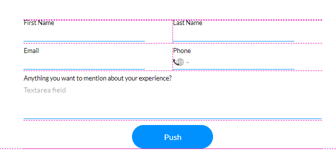 screenshot of form setup