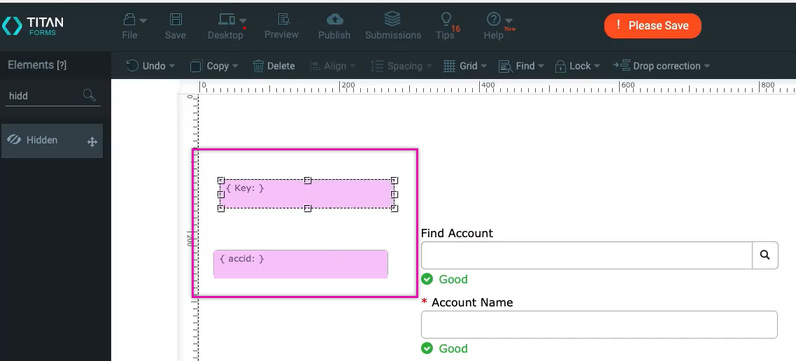 screenshot showing an example of hidden variables in forms 1.0