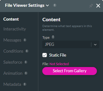 screenshot showing the file viewer settings menu with the static file option selected 