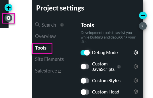 Project settings menu displaying the tools tab showing debug mode enabled. 