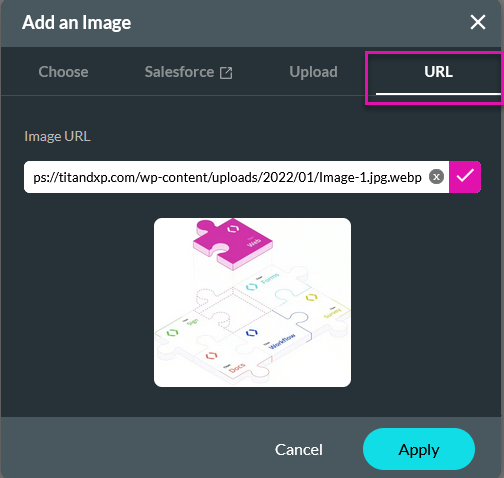 Add an image window showing the URL tab with the pasted image URL 