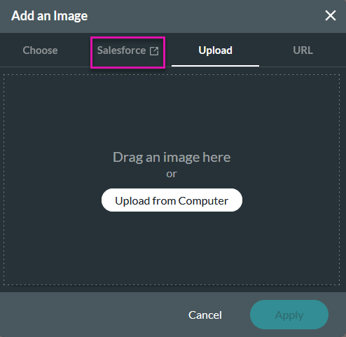 add an image window showing the Salesforce tab highlighted 