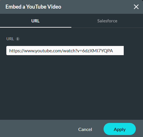 embed a youtube video window 