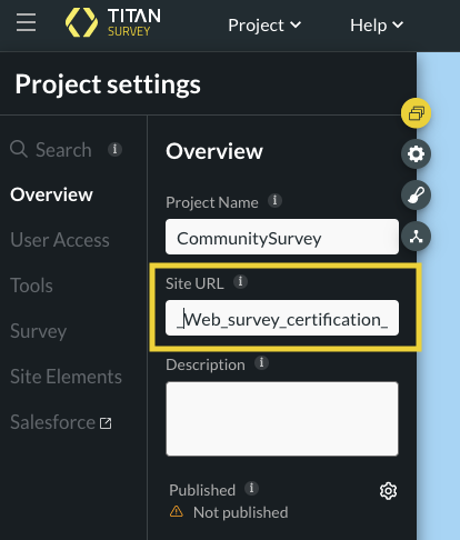 Project settings over view tab > site URL 