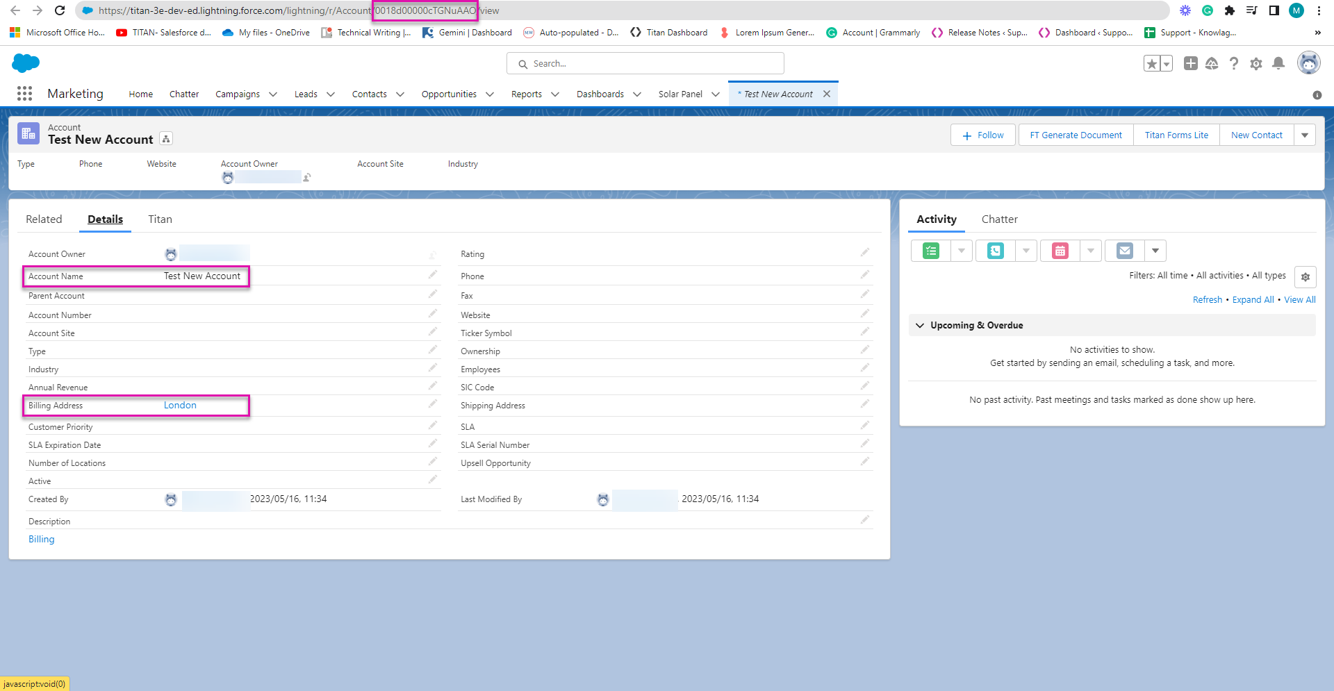 Screenshot showing the created account in Salesforce 