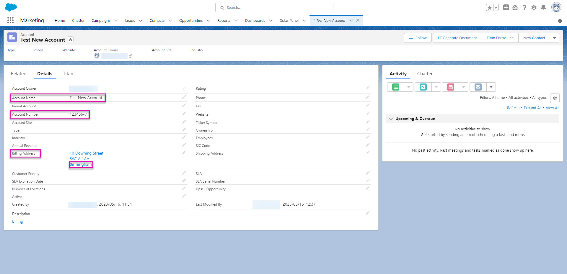 Screenshot of Salesforce data 