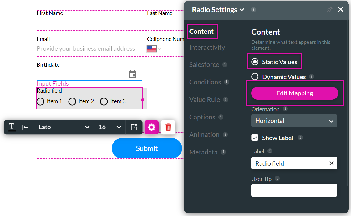 Radio element settings options showing the content tab 