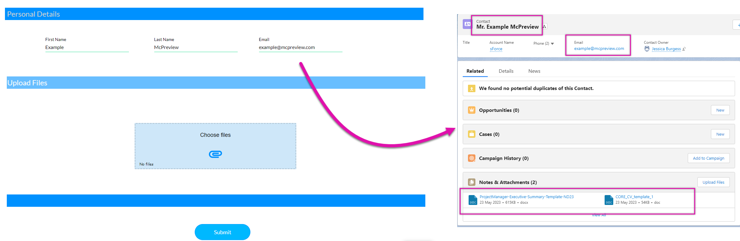 Screenshot showing the captured details in salesforce 