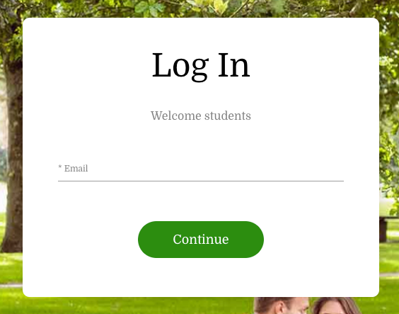 Log in screen example 