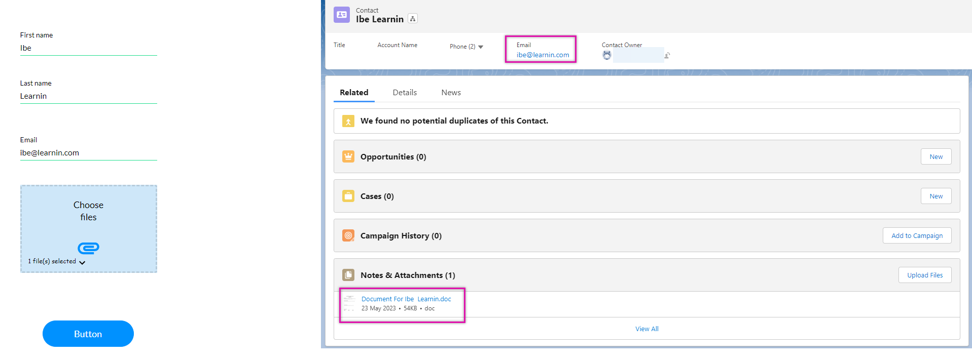 screen showing the captured details in Salesforce 