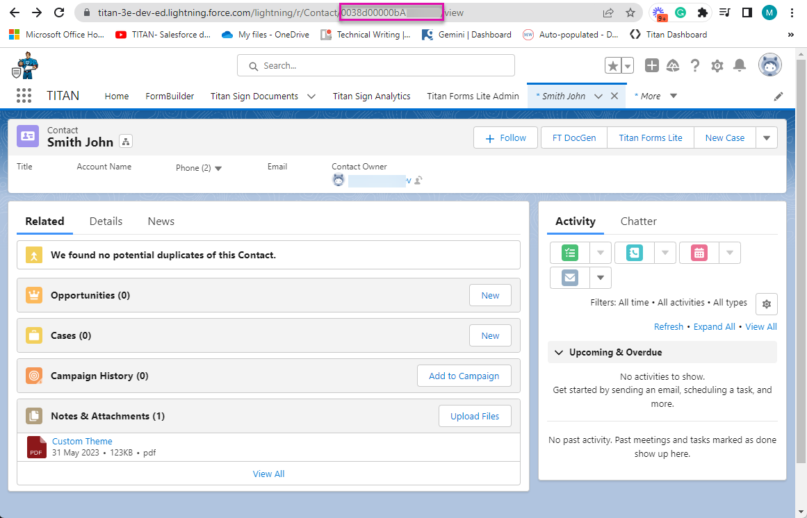 Screenshot of the Salesforce URL config 