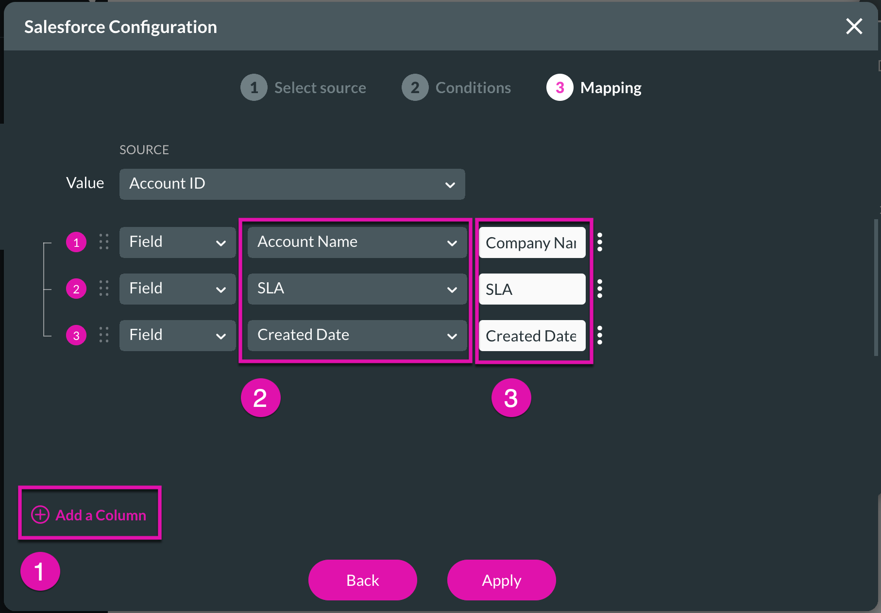 Screenshot of Salesforce configuration window displaying the mapping step  