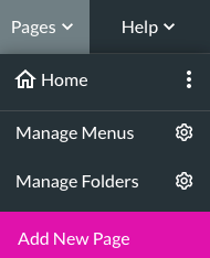 Screenshot of the expanded Pages dropdown showing how to add a new page 