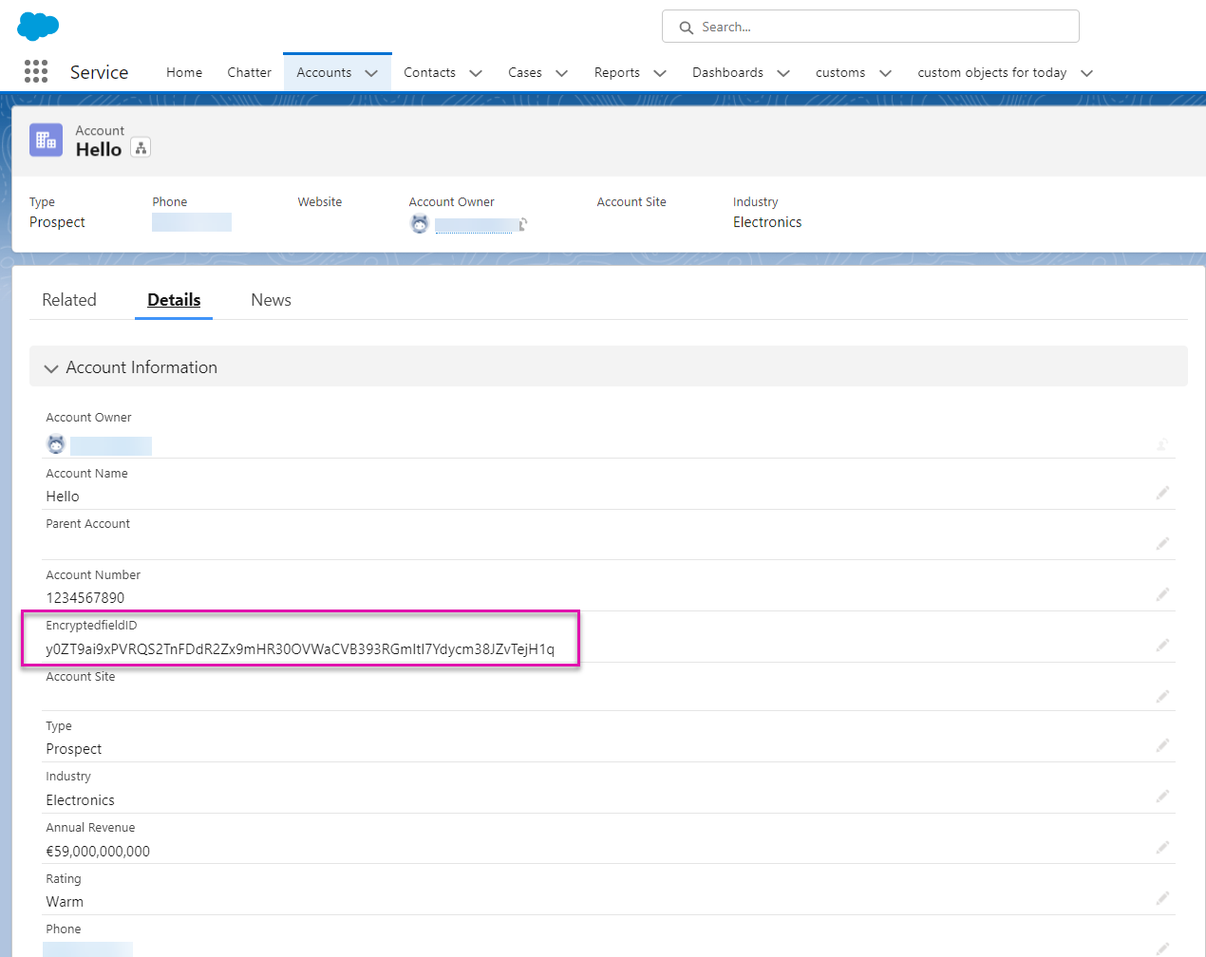 Screenshot of Salesforce Accounts window displaying the Encrypted ID