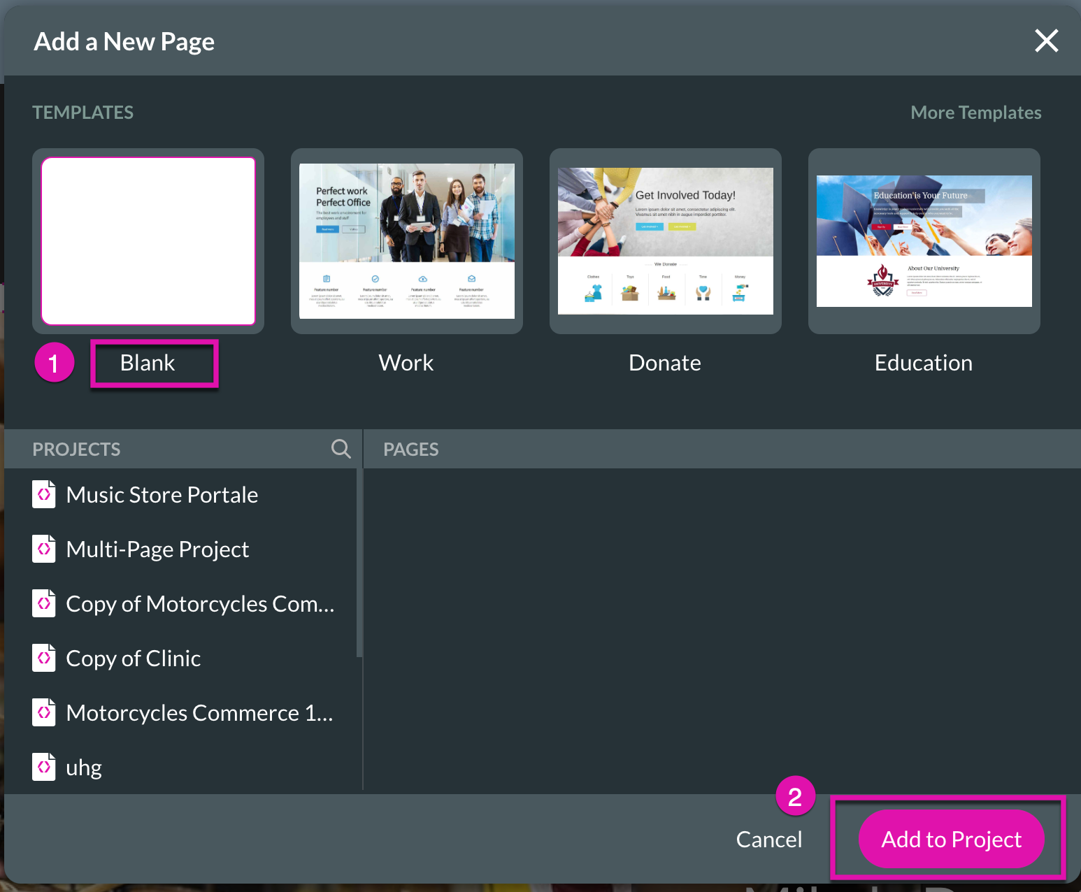 Screenshot of the Add a New Page window 