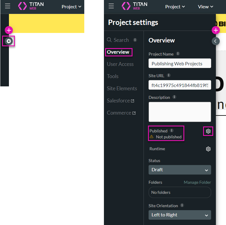 Screenshot of the project settings menu showing the publish status 