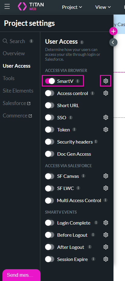 Screenshot of Project Settings in the Titan project view 