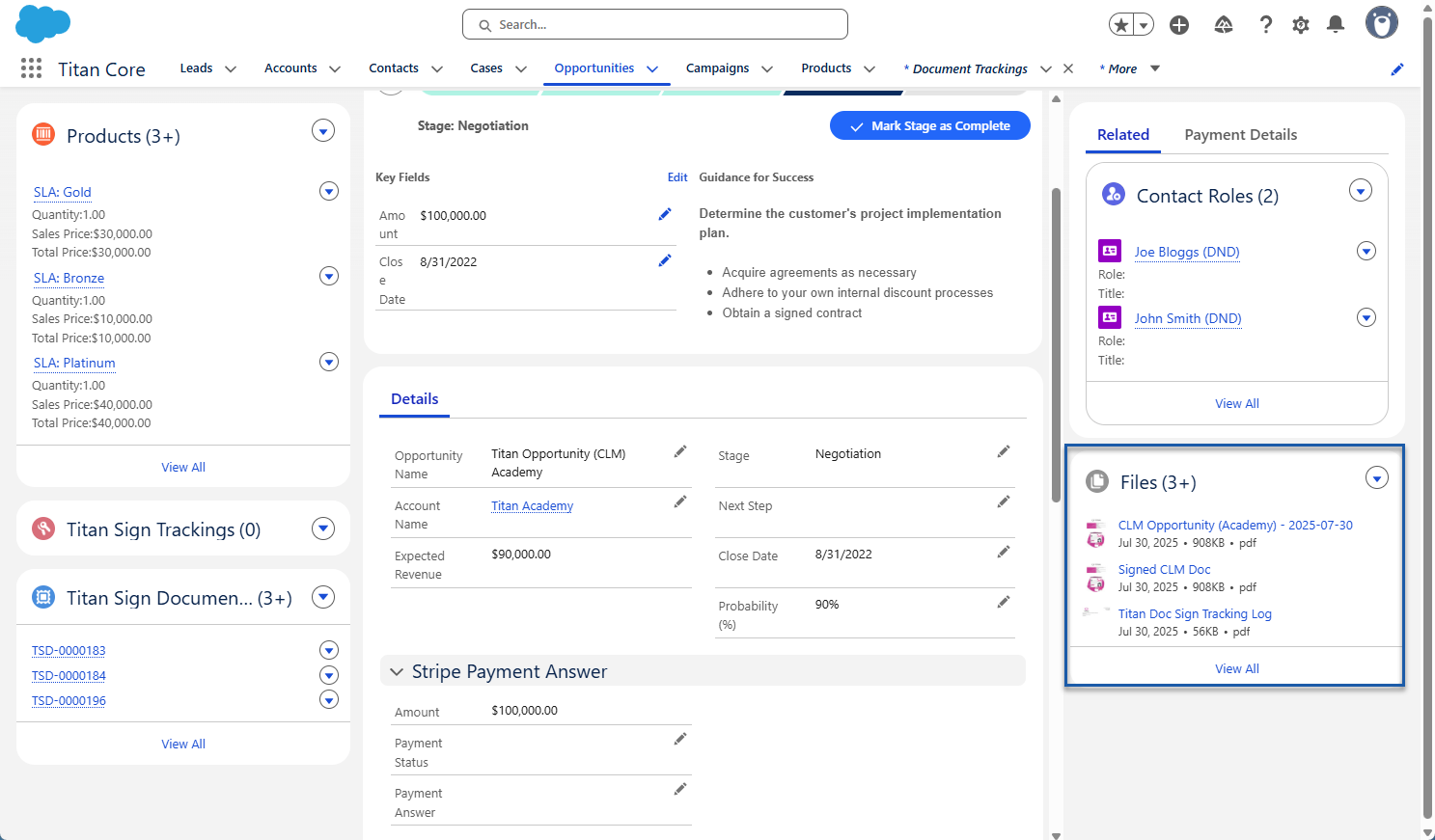 Screenshot of the files in Salesforce