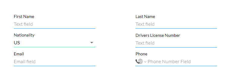 Screenshot of the form example with US nationality selected 